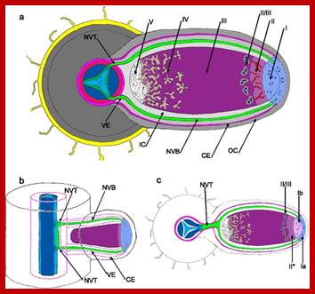 https://www.scienceopen.com/document_file/3fbcc7b6-bbac-4b0a-b8dd-0c53dd9238d9/PubMedCentral/image/13199_2013_225_Fig1_HTML