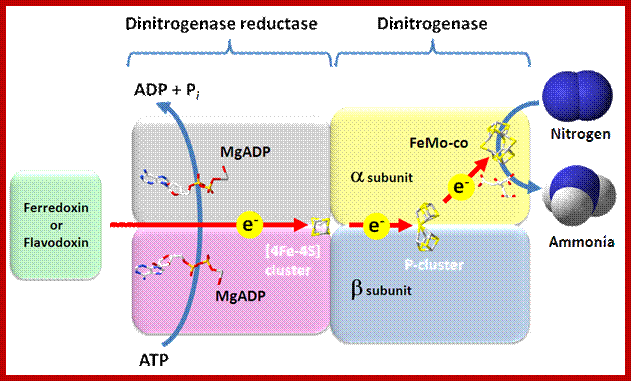 nitrogenase_reaction