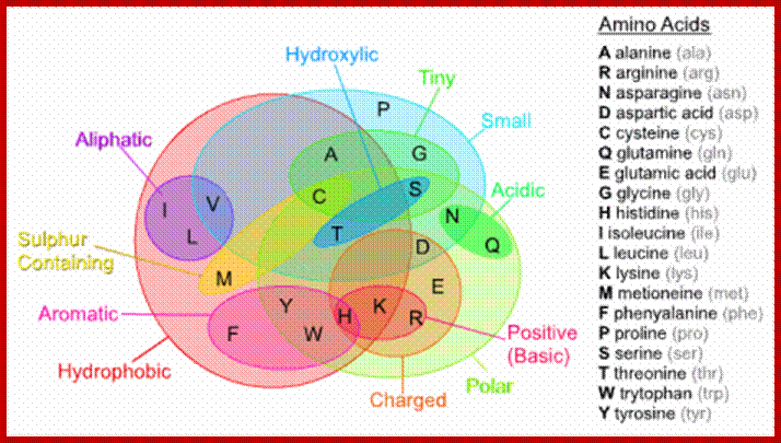 Venn diagram