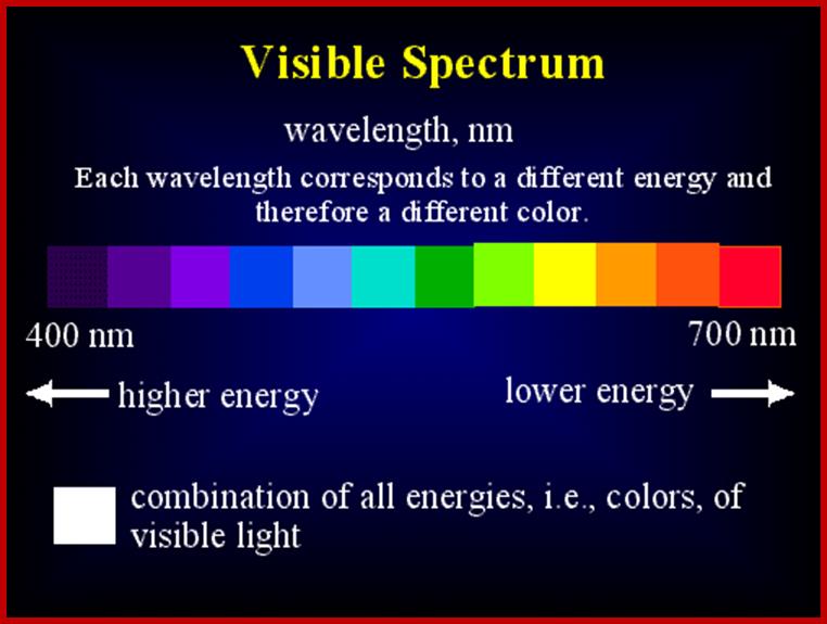 http://www.bio.miami.edu/dana/pix/visiblespectrum.gif