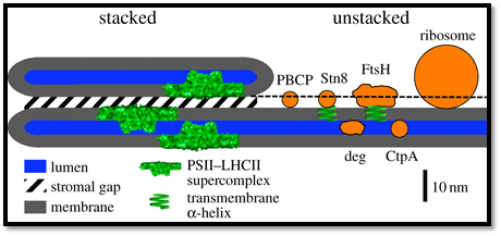 Figure 2.