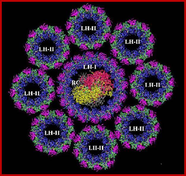 lhc