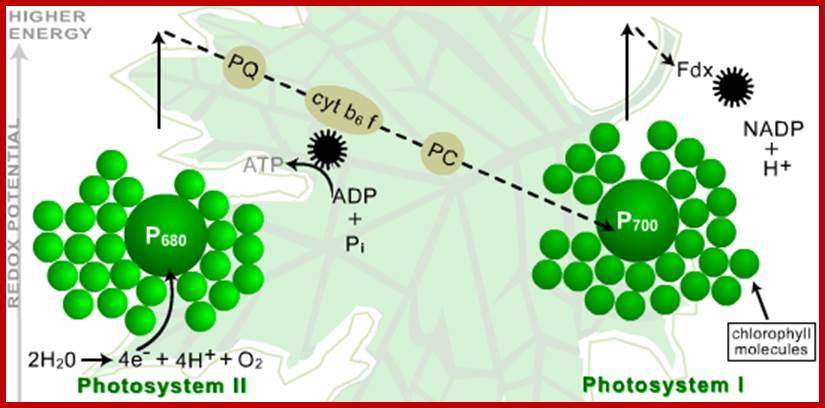 Fig5