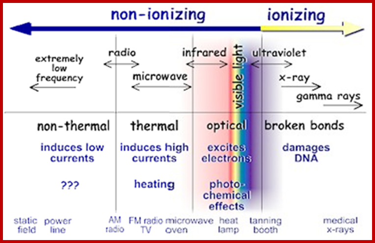 The Electromagnetic Spectrum