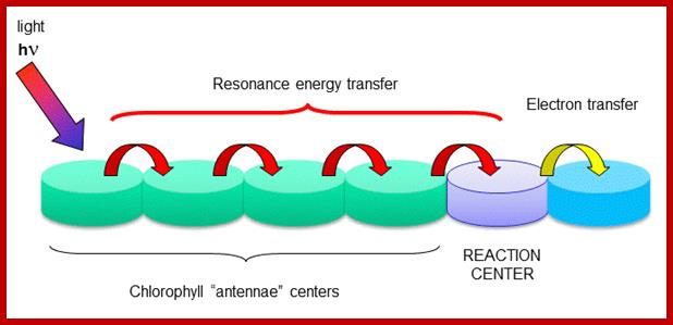 reactioncenter