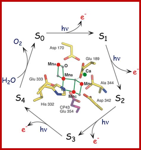 LBNL_Fig