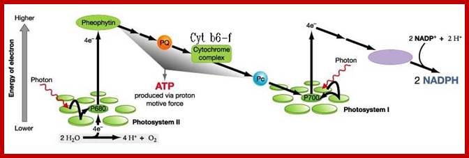 non-cyclic01