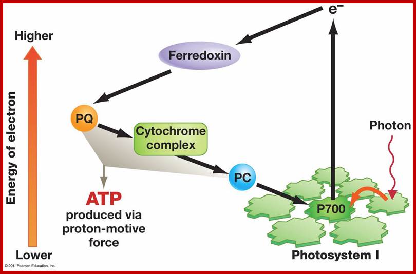 10_15_electron_cycling-L