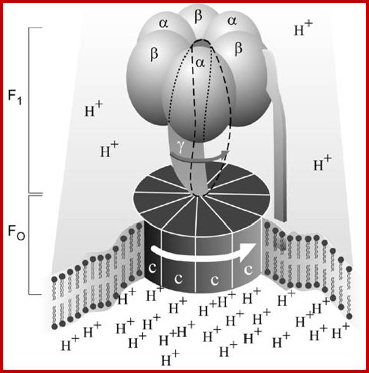 pressfig1