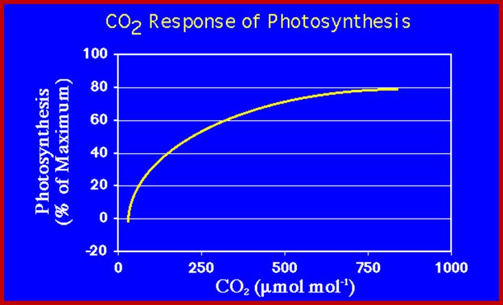 co2_resp_ph-35