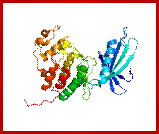 Protein CDK4 PDB 1LD2.png