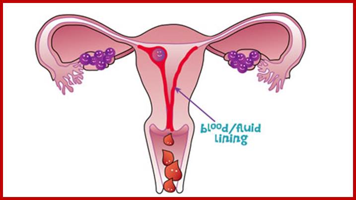 Description: Menstruation Illustration