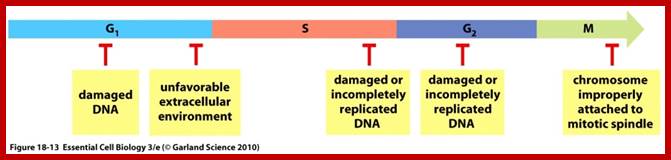 http://oregonstate.edu/instruction/bi314/fall11/figure_18_13.jpg