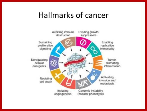 Image result for cell cycle and its implications for cancer genetics