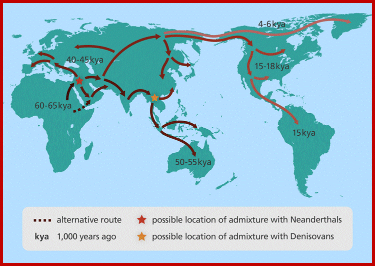 Description: Map showing human migration out of Africa.