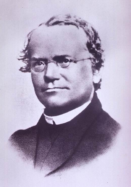 http://knowgenetics.org/wp-content/uploads/2013/01/Gregor_Mendel.jpg