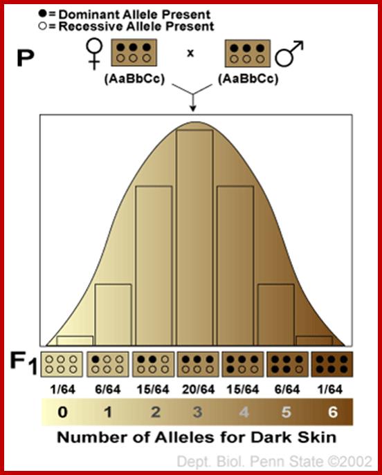 Polygenic