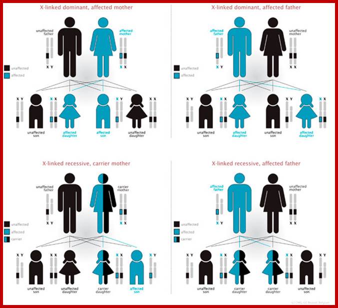 http://www.brusselsgenetics.be/media/images/Illustraties/ill_eng/ill-13-E2_orig.jpg