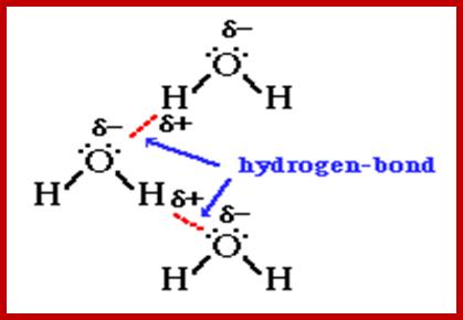 http://intro.chem.okstate.edu/1515F01/Lecture/Chapter12/Water4.GIF