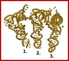 Image result for tRNAs bound to large ribosomal surface