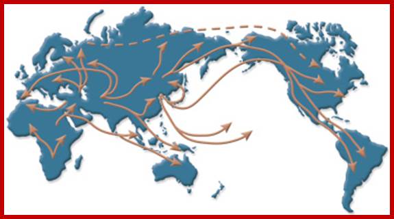 Description: Migration Patterns