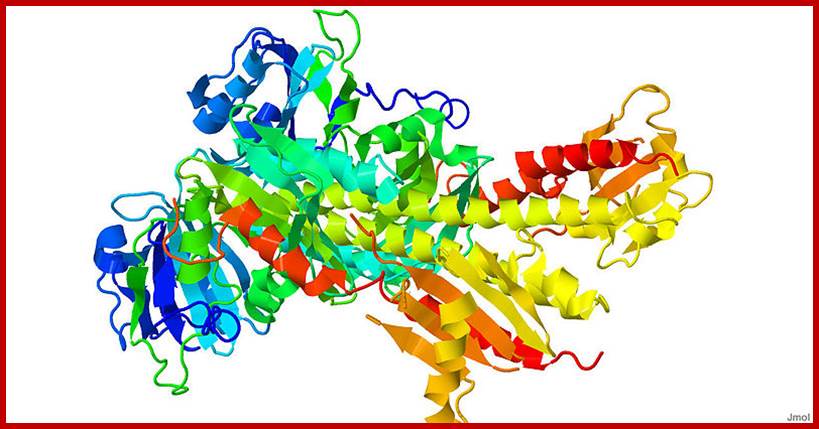 File:3G6O.pdb.jpg