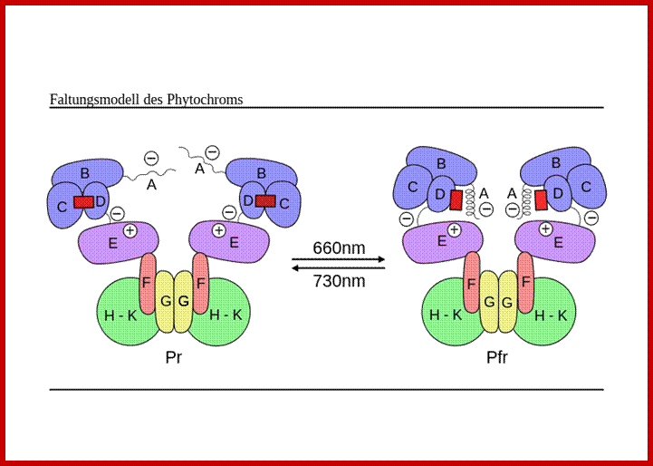 File:Pr Pfr.svg