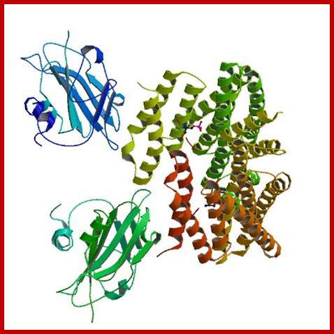 Description: http://www.rcsb.org/pdb/images/3AXY_bio_r_500.jpg?bioNum=1