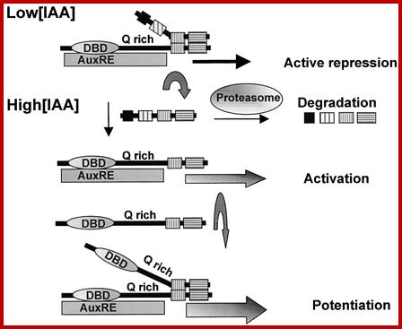 Figure 6.