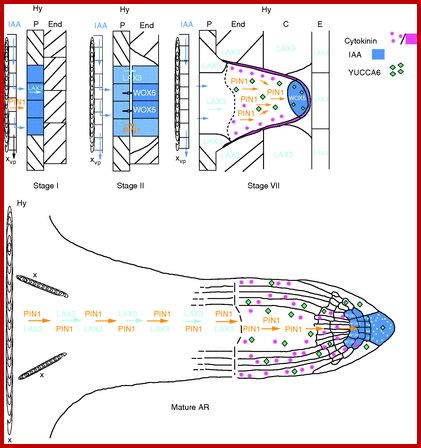 Fig. 8.