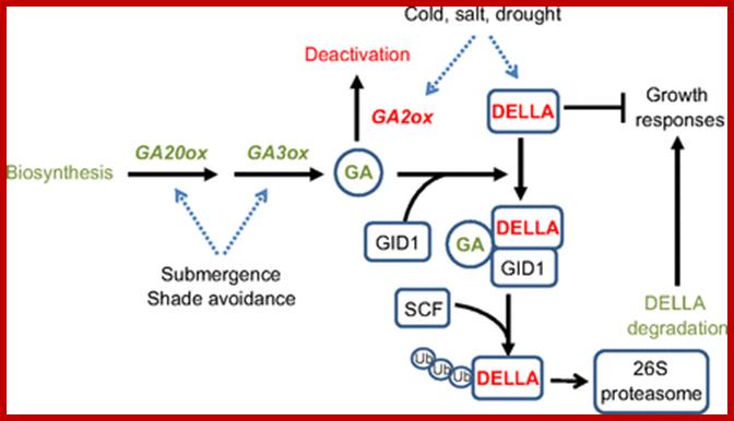 Description: Fig. 2.