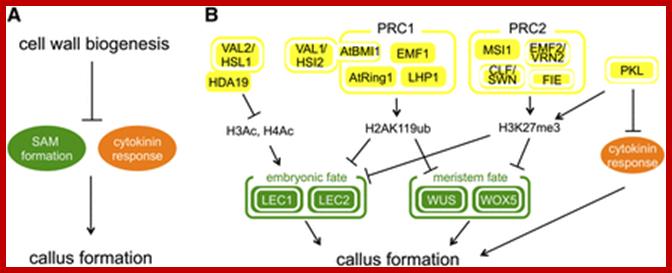 Description: Figure 5.