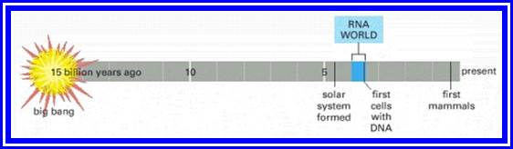Figure 6-91. Time line for the universe, suggesting the early existence of an RNA world of living systems.