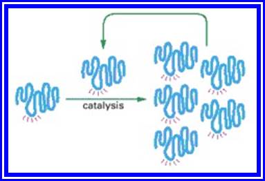 Figure 6-92. An RNA molecule that can catalyze its own synthesis.