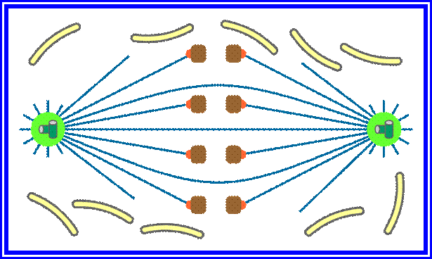 open orthomitosis