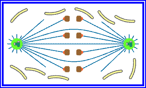 open orthomitosis